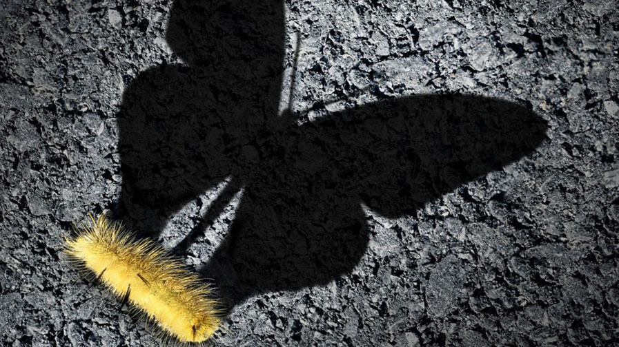 SD-WAN is Reshaping the Enterprise Network SD-WAN is Reshaping the Enterprise Network