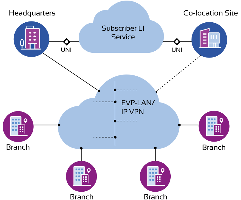 A Multi-site Network with Optical Transport Service
