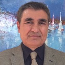 Mehmet Toy